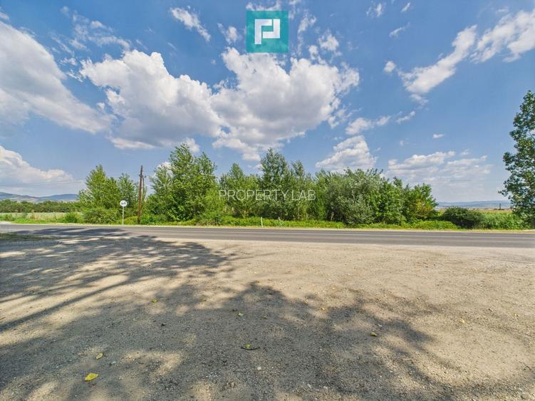 Teren extravilan de 5.219 mp în Geoagiu la șosea - 2