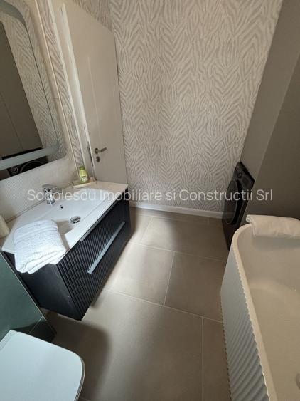 Lux și calitate în Mosnita Noua - 35