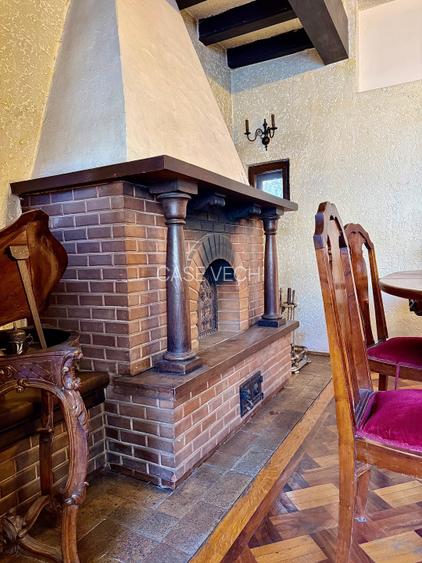 Vila mediteraneana la Gradina Icoanei - 5