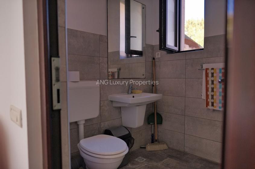 Vila tip Ranch langa Padure - 30