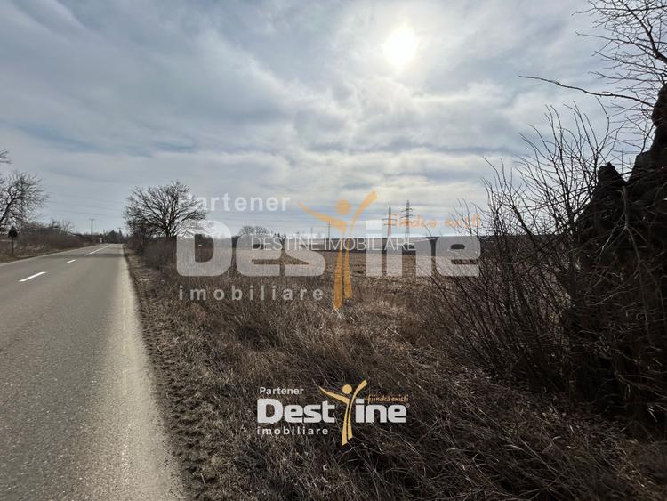 Teren de vanzare Caciulesti 10.000 Euro 1300mp - 2