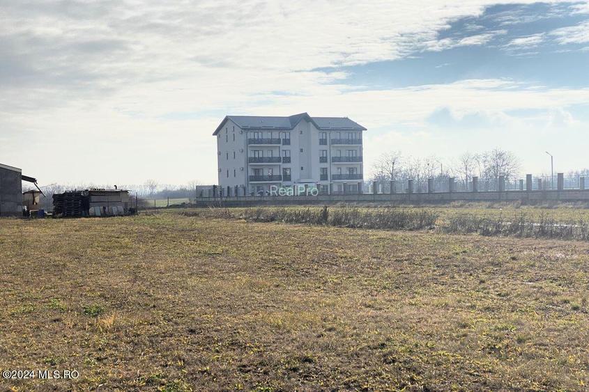 Afumati - Str. Iasomiei, 2409 MP, stradal, intravilan, deschidere 12 ml! - 18