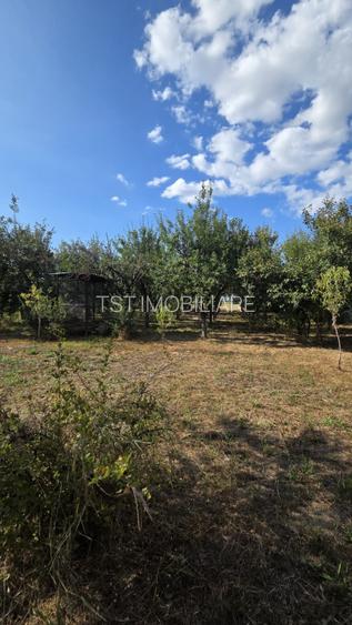 Casă și teren de vânzare – Zona Careiului - 18