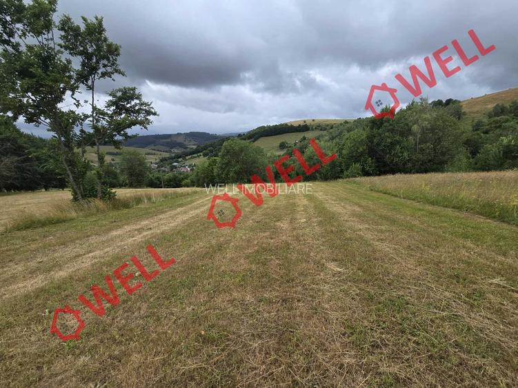 De vânzare teren extravilan loc. Sărămaș - 7