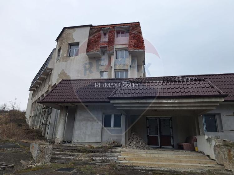 Pensiune/Hotel HANUL IZVORUL CRISUL REPEDE - 9