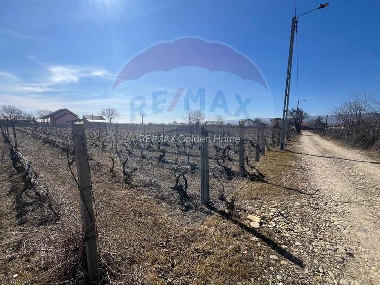 Teren intravilan Unirea Odobesti / Strada Grozesti - 11