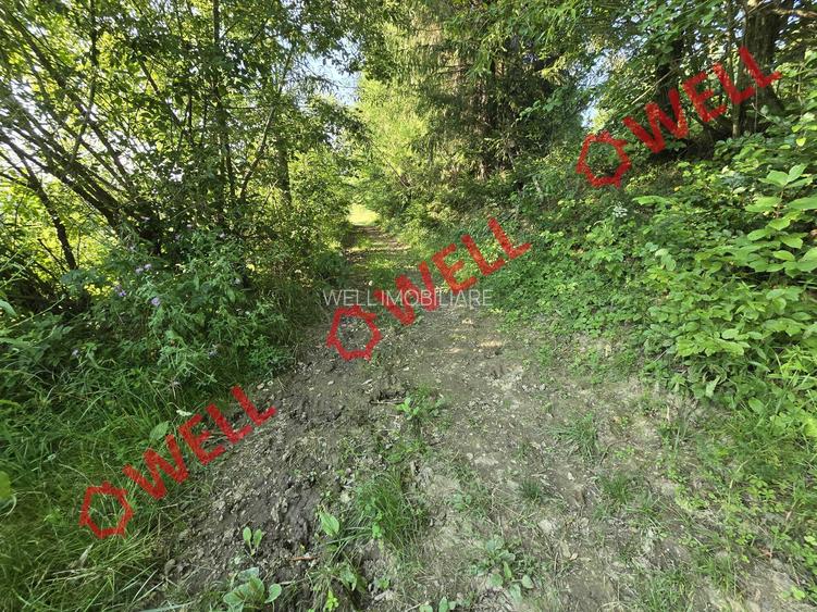 De vânzare teren extravilan în Întorsura Buzăului, pe punctul numit „Tomoja” - 4