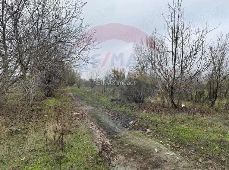 De vanzare teren intravilan 1862 mp in Bolintin-Vale - 3