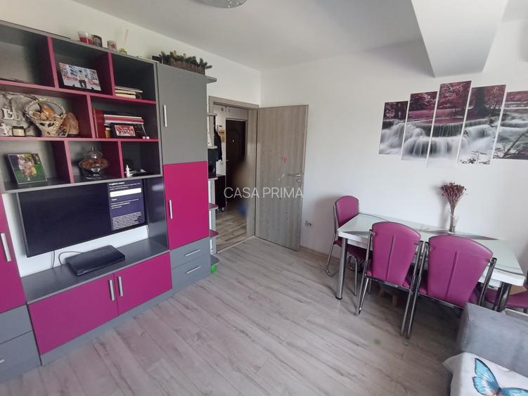 Apartament 2 camere DECOMANDAT, CUG, mobilat, utilat ! ETAJ intermediar! - 4