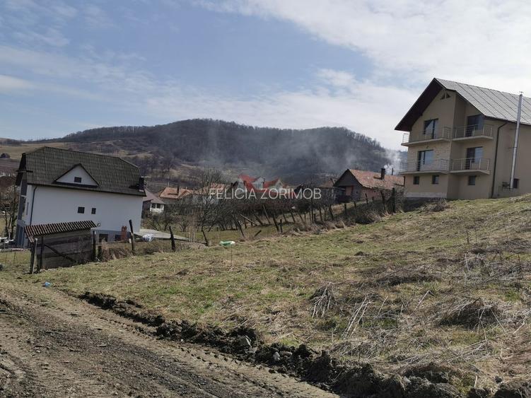 Teren intravilan , cu proiect pentru casa in Dej - 2