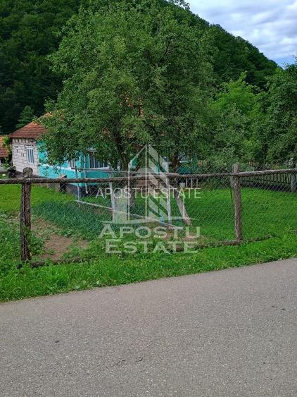 Casa batraneasca de vanzare, 4 camere, in Hunedoara, sat Micanesti - 26