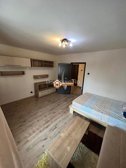Apartament 1 camera Pacurari - 2
