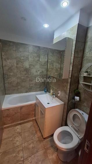 Ap 2 cam Teiul Doamnei/Ion Berindei - 10