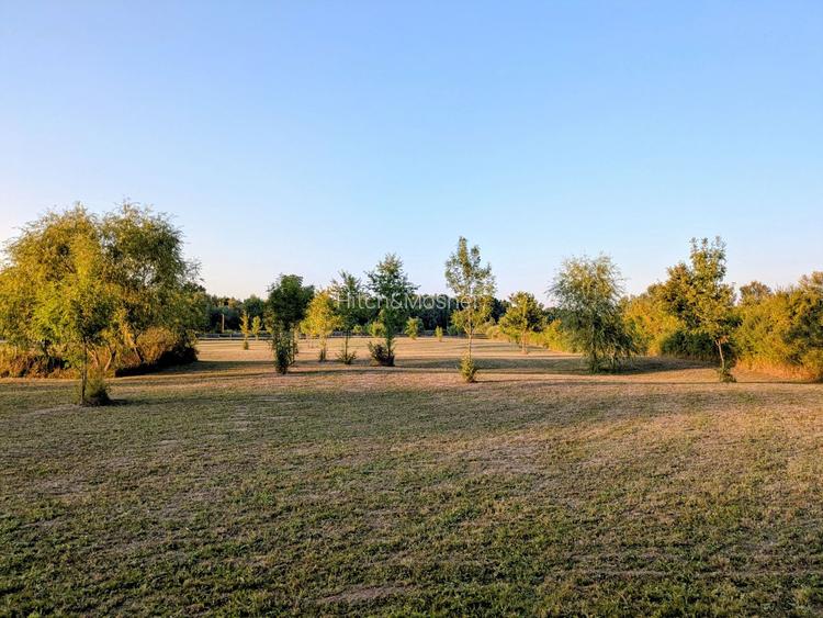 De vânzare: Teren 12.600 mp – Ghiroda - Comision 0% - 6