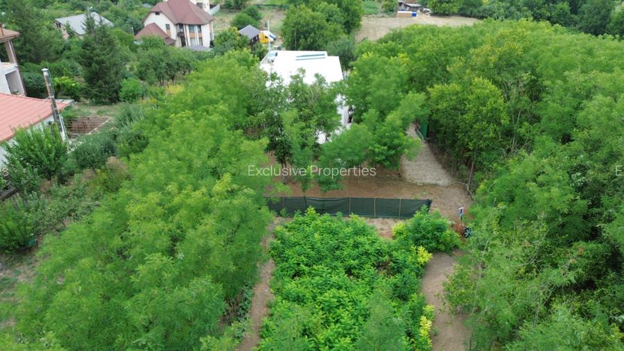 Casa de vacanta / spatiu comercial de vanzare – Frumusani - 11