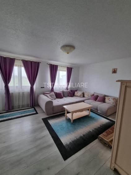 Casa de vanzare spre Vetis, drum principal - 6