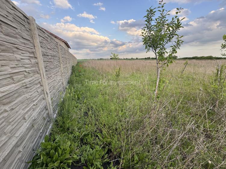 Teren Intravilan Becicherecu Mic ,776 mp,Fs. 17,5m - 3