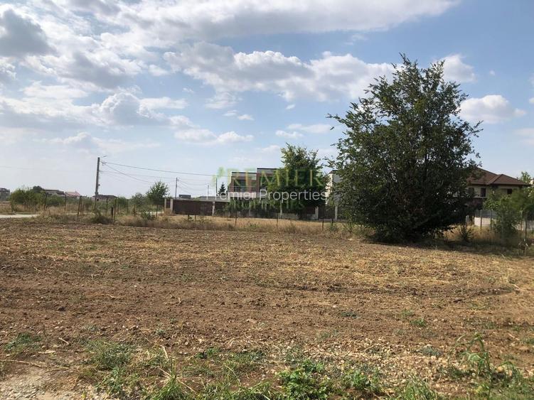 Teren de vanzare Mogosoaia 752 mp utilitati complete deschidere 29.56 - 3