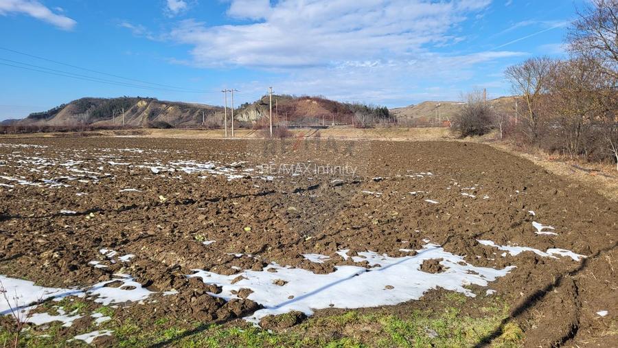 Teren industrial logistic de vanzare 15.938 mp Câmpia Turzii Henkel - 3