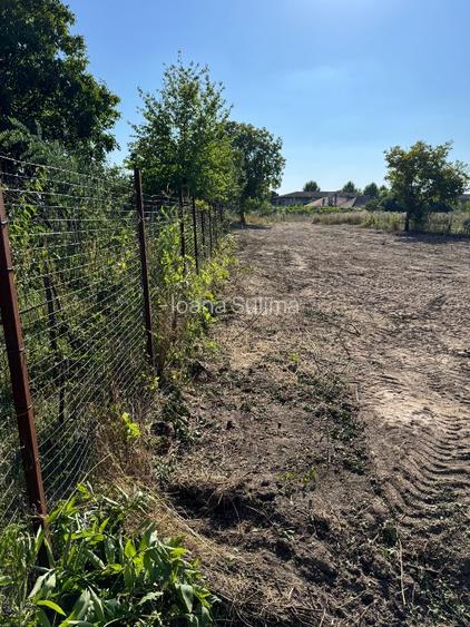De vânzare teren intravilan Snagov pretabil pentru locuința  - 2
