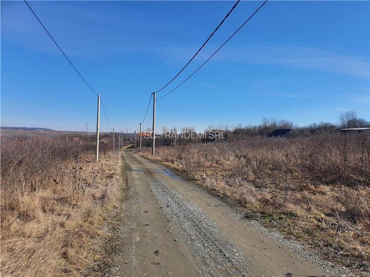 Loturi de la 430 la 480mp teren intravilan pentru contructii - Daia Nouă - 9