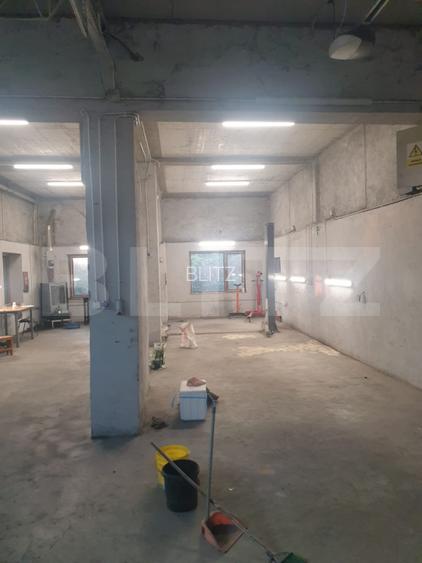 Hala/depozit/service auto, 380 mp, Dudovicesti - com. Simnicu de Sus - 11