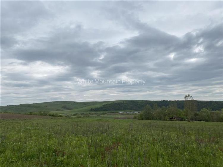 Oportunitate investitie | Teren 10 000 mp cu constructie de 530 mp la 10 km de V - 25