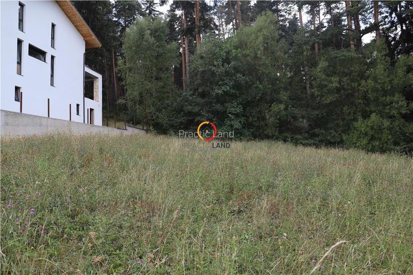 teren intravilan cu PUZ si PUD 2 loturi - 3