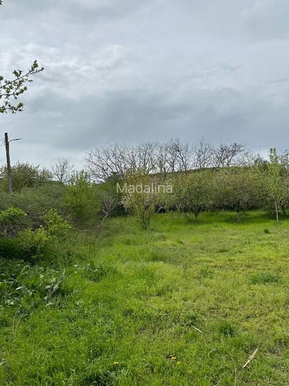 Vând teren intravilan stradal , posibilitate  parcelare  - 10