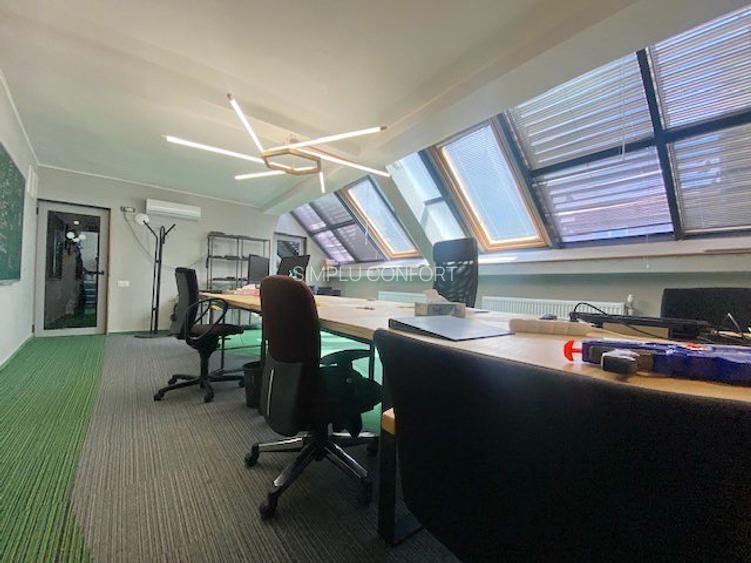 Cismigiu-Mircea Vulcanescu - 4