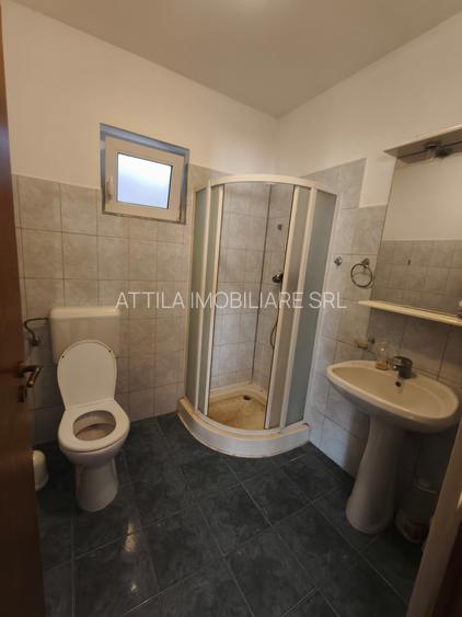 Dumbravita casa pentru birou 750 euro - 11