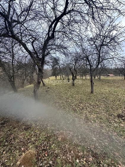 Teren de vanzare intravilan  Bran - 8