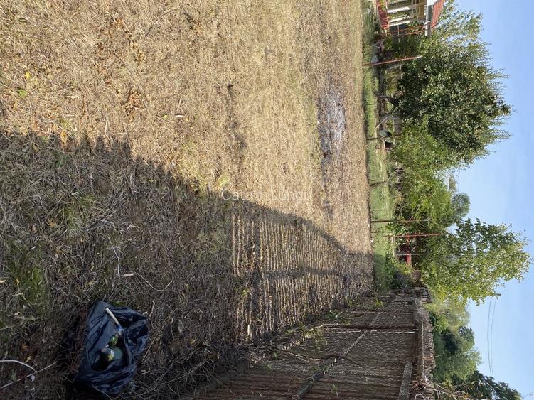 Particular Izvorani Intravilan - 10