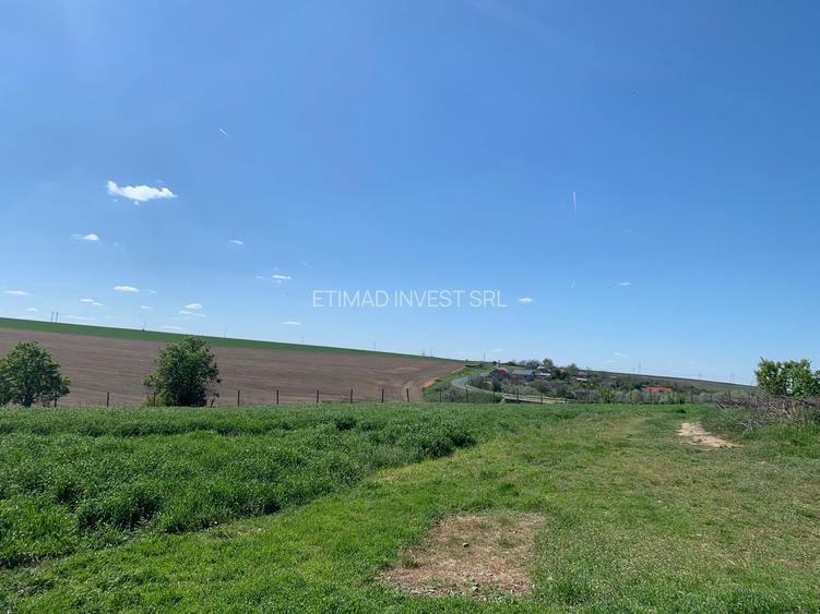 FERMĂ - PIETRENI - DN3 - UTILITĂȚI - 10.680 MP - 34