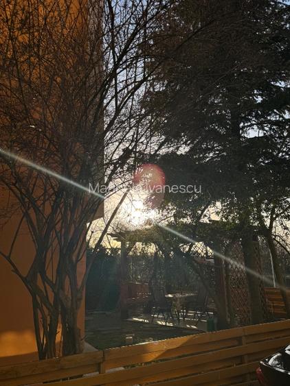 Apartament 3 camere cu curte proprie – Otopeni, aproape de centru - 14