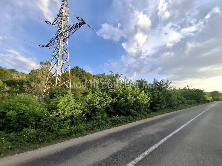 Teren spectaculos cu padure, livada si priveliste panoramica in Soimari PH - 5