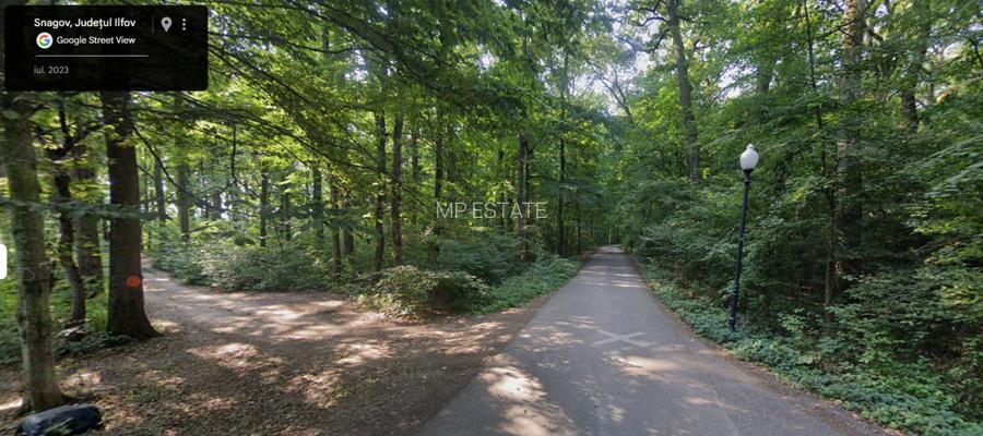 Teren de Vis pe malul lacului Snagov / 4000 mp in inima Naturii /40 m deschidere - 8