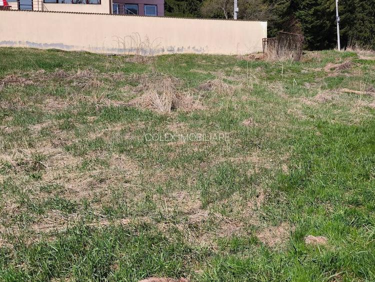 Teren intravilan de vanzare - zona partiei de schi Kalinderu - 3