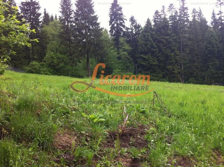 Teren intravilan Cotul Donului,pretabil Hotel/pensiune. - 12