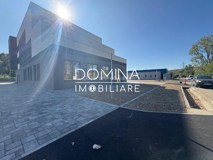 Inchiriere spatiu comercial *peste 350 mp cu parcare* - strada Tineretului - 9