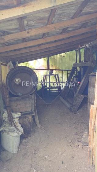 Domeniu rural, gospodarie/multifunctionala cu casa, livada, vie - 8
