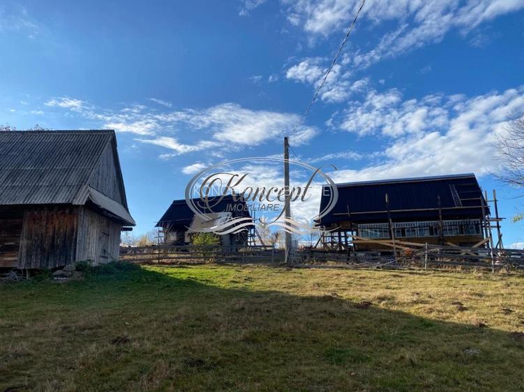 Oaza de natura si traditie cu potential turistic in Muntii Apuseni - 5