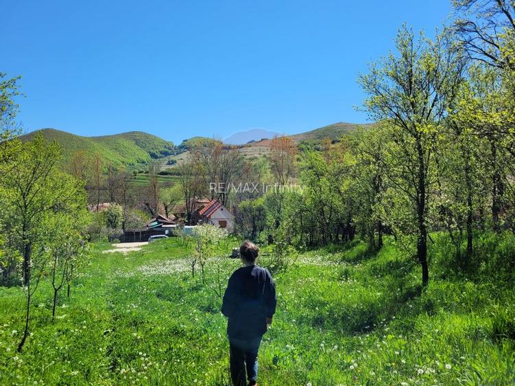 Teren intravilan 1.271 mp – Izvoarele, jud. Alba - 7