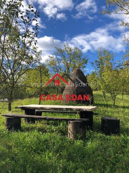 Teren extravilan in Brebu(Pietriceaua)--9104mp--50.000e - 3