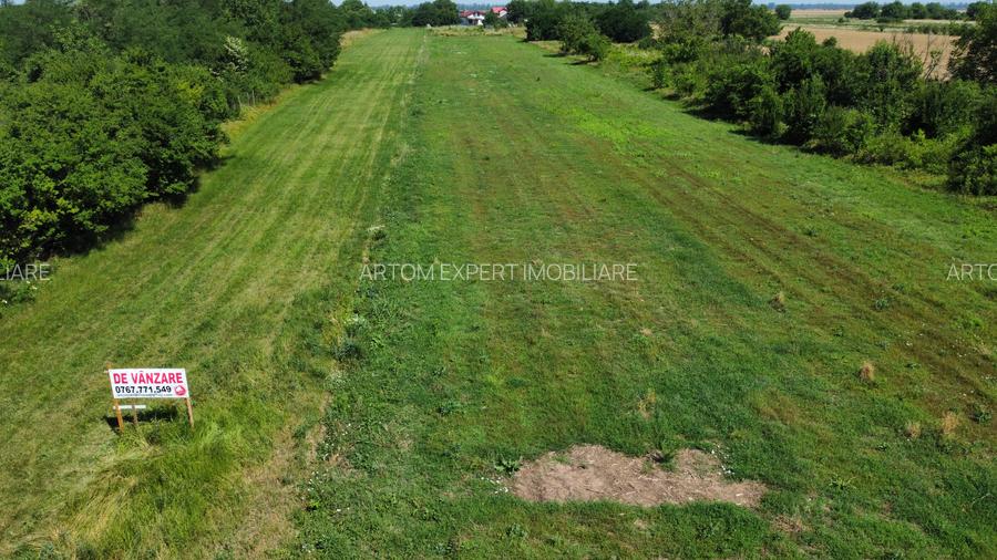 Comuna Petrachioaia/jud Ilfov,sat Vanatori - 6