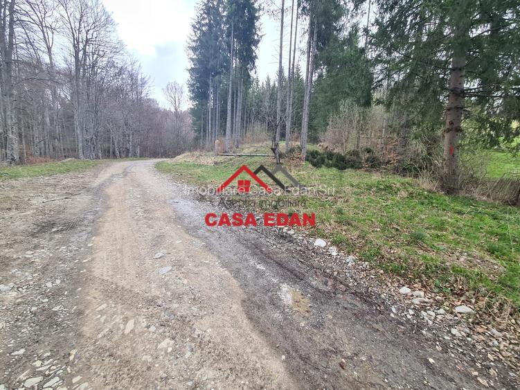 Teren extravilan Valea Doftanei 20.500 mp 6e mp - 9