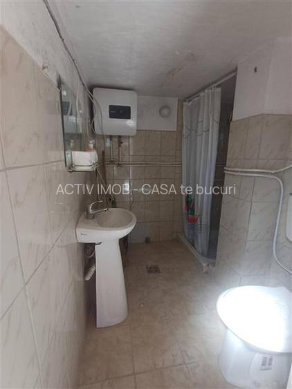 Cabana de vanzare in Saliste - 7
