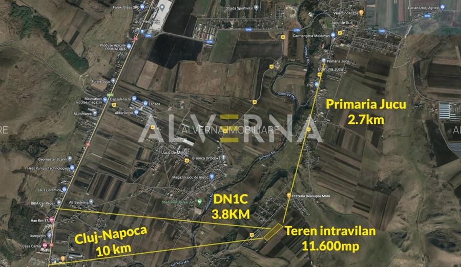 INVESTITIE! Teren constructii 11.600 mp | front 45.7m | Jucu de Sus - 2