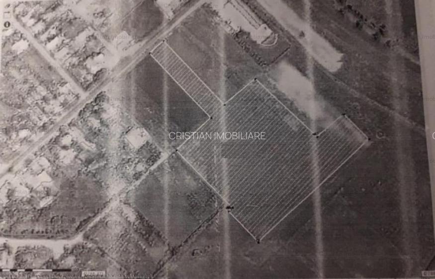 La sosea Teren 27500mp intravilan Lacu Sarat - 3