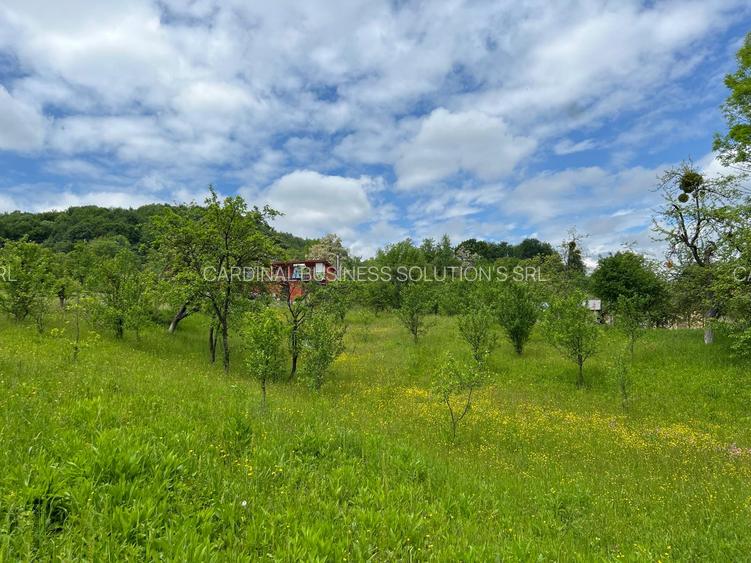 Breaza - Ocina de sus - 4200 mp - 9